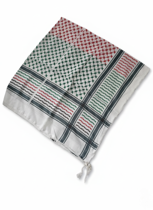 koufiyye au couleur de la palestine